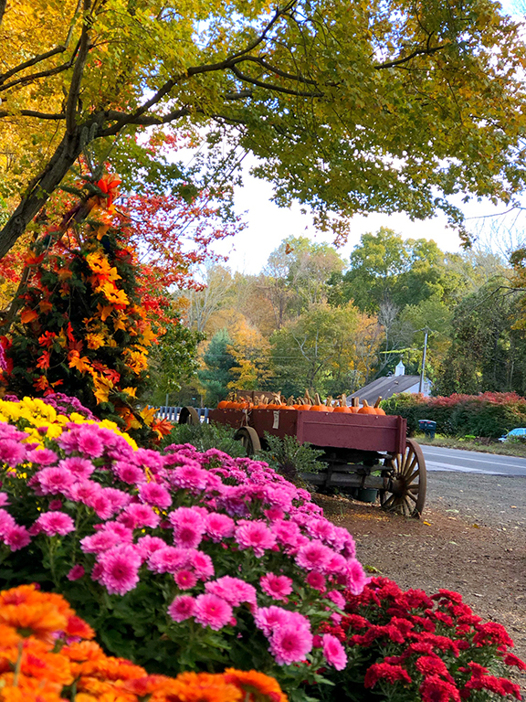 Asigned Subject In Class B By Joy Battista For CT Autumn Scene NOV-2018.jpg